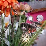 Cozy Botafogo Hostel