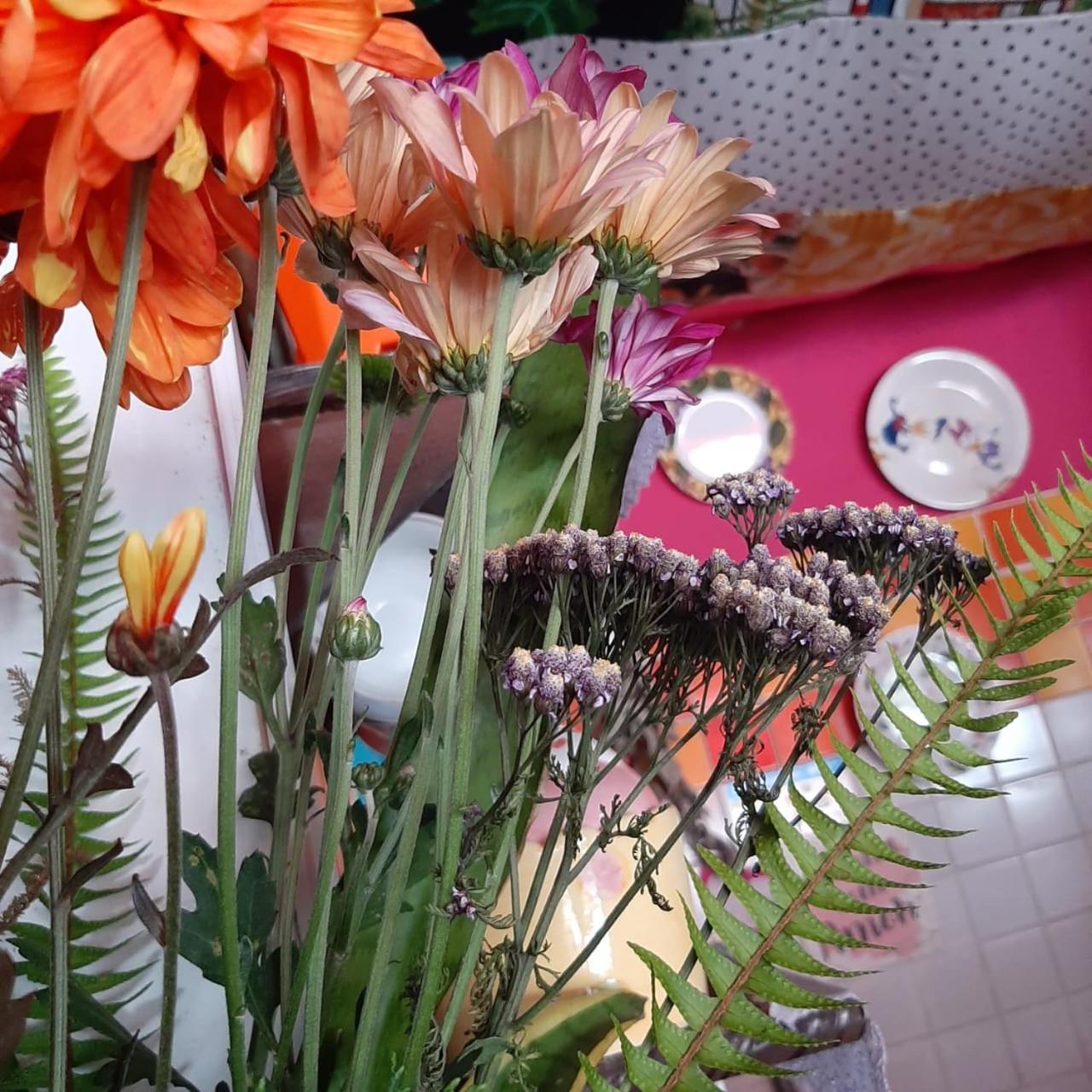 Hospedagem domiciliar Cozy Botafogo Hostel *
